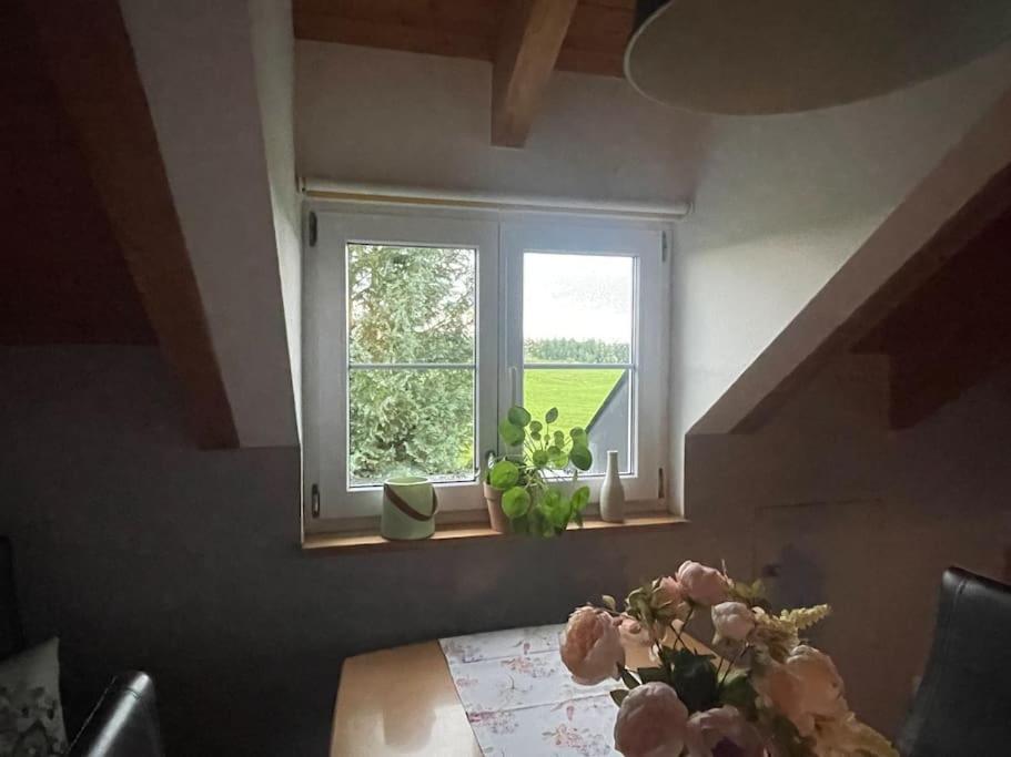 Panorama Saentisblick Lägenhet Hergatz Exteriör bild