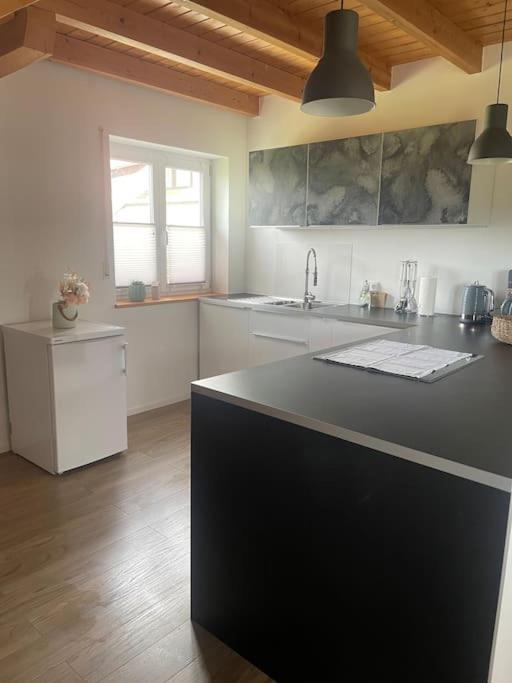Panorama Saentisblick Lägenhet Hergatz Exteriör bild