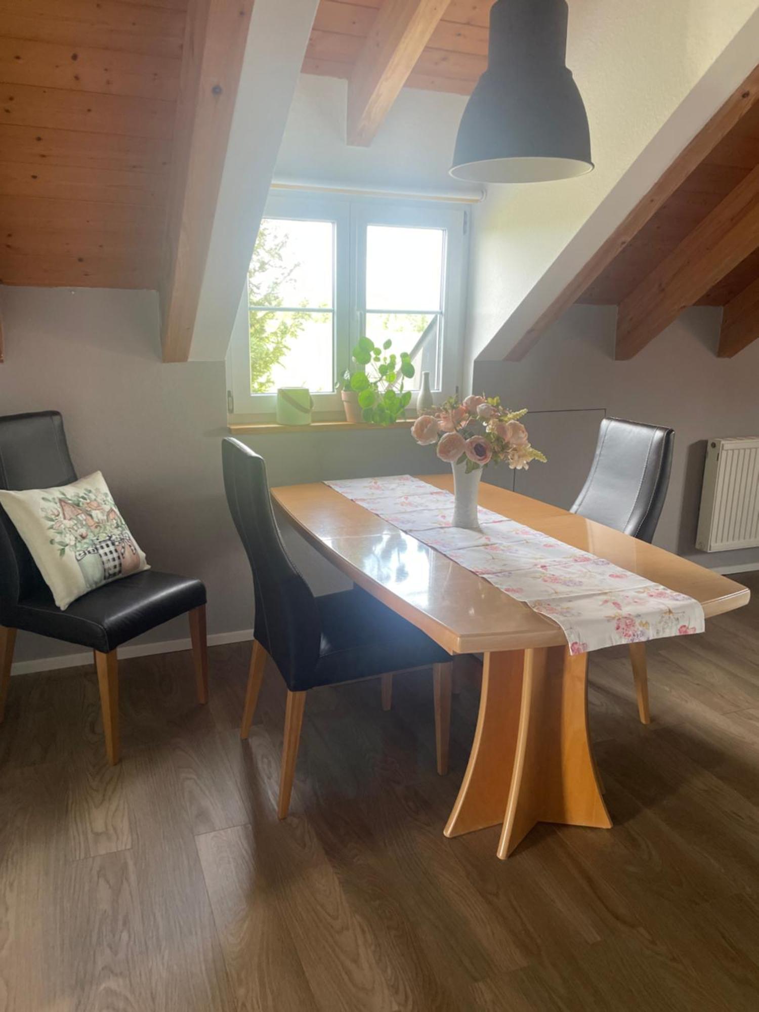 Panorama Saentisblick Lägenhet Hergatz Exteriör bild